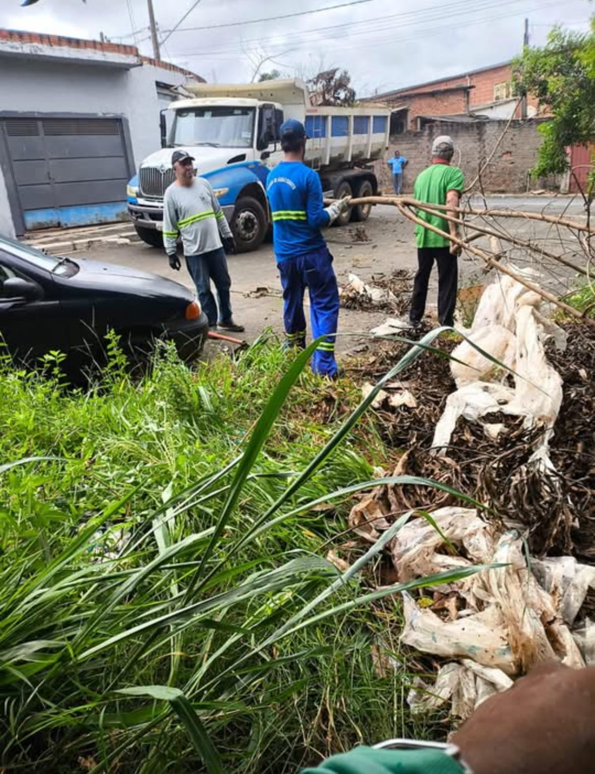 mutirão limpeza