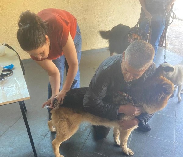 Prefeitura de Itirapina vacina 295 animais em ação contra a raiva
