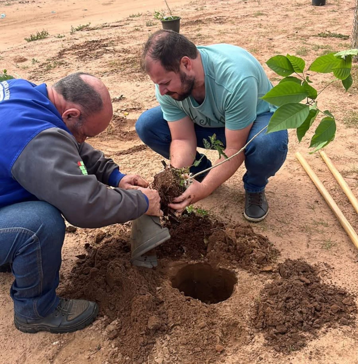 Plantio de árvores nativas valoriza espaço de convivência na Colônia